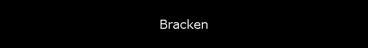 Bracken